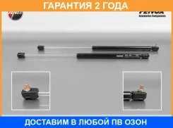 ���� �������, L500, l290, 400N, �������������, �������� Fenox / A901006C3 �������� 24 ��� ���� �� 2 �� A901006C3 ����