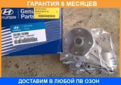 ������� ����� Hyundaikia / 251002E000 �������� 6 ��� 251002E000 ����
