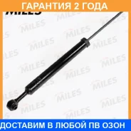 ����������� Miles / DG02491 �������� 24 ��� DG02491 ����