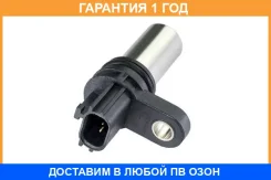 ������ ����������� NAP / NSCM0010E �������� 12 ��� NSCM0010E ����