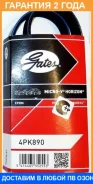 ������ ���������� Gates / 4PK890 �������� 24 ��� 4PK890 ����