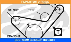 ������ ��� Gates / 5436XS �������� 24 ��� 5436XS ����