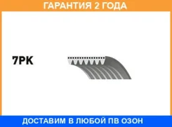 ������ ���������� Gates / 7PK1243 �������� 24 ��� 7PK1243 ����
