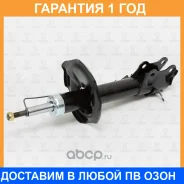 ����������� �������� ������� TORR / DV1114R �������� 12 ��� DV1114R ����