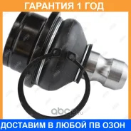 ����� ������� Jikiu / JB22982 �������� 12 ��� JB22982 ����