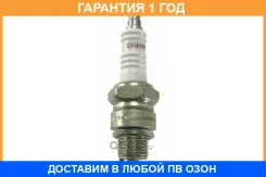 ����� ��������� Champion / OE038T10 �������� 12 ��� OE038T10 ����