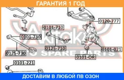 ���� ������ ASVA / 0125710 0125710 ����