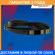 ������ ������������ Avantech / 6PK955 �������� 24 ��� 6PK955 ����