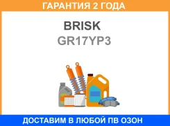 ����� ��������� Brisk / GR17YP3 GR17YP3 ����