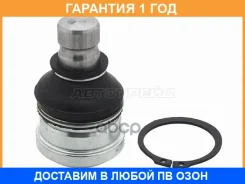 ������� ����� ������� ������ Baikor / BKBJ0042 �������� 12 ��� BKBJ0042 ����