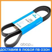 ������ ���������� Dayco / 6PK825 6PK825 ����
