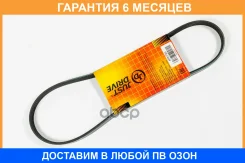 ������ JUST Drive / 4PK795 �������� 6 ��� 4PK795 ����