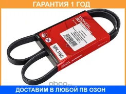 ������ ������������ Dongil / 5PK1190 �������� 12 ��� 5PK1190 ����