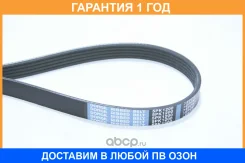������ ������������ Dongil / 5PK1200 �������� 12 ��� 5PK1200 ����