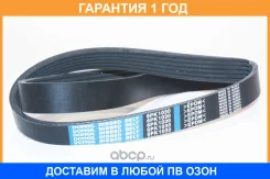 ������ ������������ Dongil / 6PK1030 �������� 12 ��� 6PK1030 ����