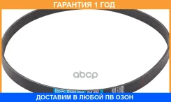 ������ ���������� Dongil / 6PK1080 6PK1080 ����