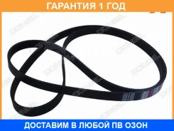 ������ ��������� () Dongil / 6PK1173 �������� 12 ��� 6PK1173 ����