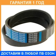 ������ ������������ Dongil / 6PK955 �������� 12 ��� 6PK955 ����