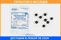 �������� ������������ Kormax / KHV320 �������� 6 ��� KHV320 ����