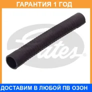�������� ��������� Gates / VFII25 �������� 12 ��� VFII25 ����