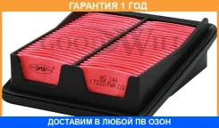 ������ ��������� Goodwill / AG144 �������� 12 ��� AG144 ����