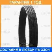 ������ ������������ Carberry / 5PK908 �������� 12 ��� 5PK908 ����