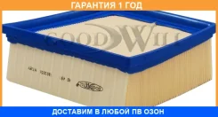 ������ ��������� Goodwill / AG491 �������� 12 ��� AG491 ����