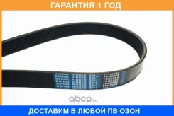 ������ ���������� Dongil / 7PK2284 7PK2284 ����