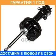 ������ ��������������� (FR) Double Force / DF333310 �������� 18 ���, ������ �������� DF333310 ����