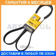 ������ ������������ Contitech / 6PK1900 �������� 6 ��� 6PK1900 ����