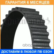 ������ ��� Contitech / CT1082 �������� 6 ��� CT1082 ����
