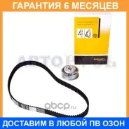 ����������� ��� AD VW SEAT 1.6-2.0 Contitech / CT908K1 �������� 6 ��� CT908K1 ����