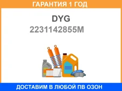 �����������֠2231142855M DYG / 2231142855M �������� 12 ��� 2231142855M ����