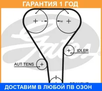 ������ ��� Gates / 5356XS �������� 12 ��� 5356XS ����