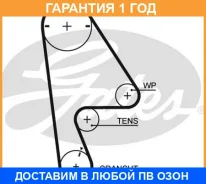 ������ ��� Gates / 5409XS �������� 12 ��� 5409XS ����