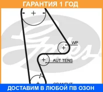 ������ ��� Gates / 5410XS �������� 12 ��� 5410XS ����