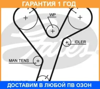 ������ ��� Gates / 5446XS �������� 12 ��� 5446XS ����