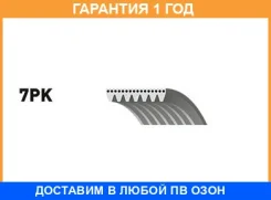 ������ ���������� Gates / 7PK1125 �������� 12 ��� 7PK1125 ����