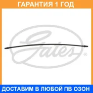 ����� ������� �������� Gates / 021618 �������� 12 ��� 021618 ����