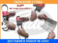 ������ ���������� Gates / 6PK1019SF �������� 24 ��� 6PK1019SF ����