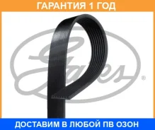 ������ ���������� Gates / 8PK1875HD �������� 12 ��� 8PK1875HD ����