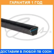 �������� ������ Gates / AV17X1050HD �������� 12 ��� AV17X1050HD ����
