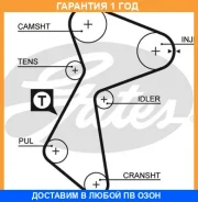 �������� ����� ��� Gates / K015484XS �������� 12 ��� K015484XS ����
