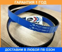 ������ ��� Racing BLUE Gates / T328RB �������� 12 ��� T328RB ����