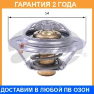 ���������, ����������� �������� Gates / TH43182G1 �������� 24 ��� TH43182G1 ����