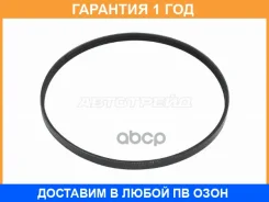 ������ ��������� Hyundai Elantra 18-20 / Santa Fe 15-21 2C 2CT 3YEU Hfvph Pevps SAT / 3PK795 �������� 12 ��� 3PK795 ����