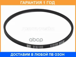 ������ �������� SAT / ST5400008 �������� 12 ��� ST5400008 ����