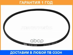 ������ �������� SAT / ST5400031 �������� 12 ��� ST5400031 ����