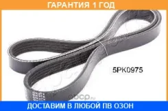 ������������ ������ Japanparts / DV5PK0975 �������� 12 ��� DV5PK0975 ����