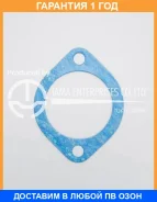 ��������� ���������� TAMA / P806 �������� 12 ��� P806 ����